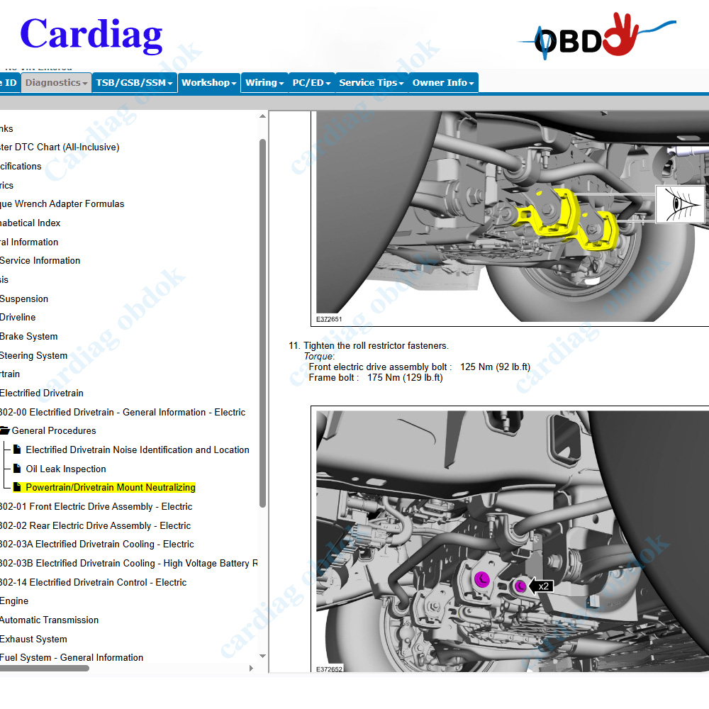 2026 for Ford PTS Online Softw - Workshop Tools Online recensione e prezzo