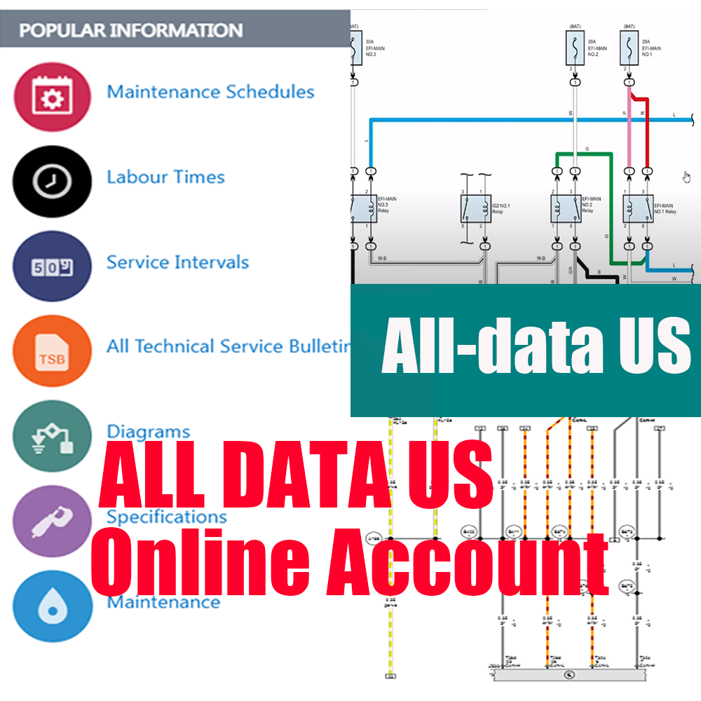2026 Online Account Alldata US - Workshop Tools Online recensione e prezzo