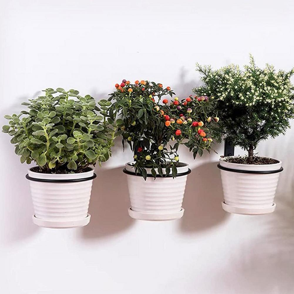 4/5/6/8 Inches Metal Flowerpot - Screw Organizer Kit recensione e prezzo
