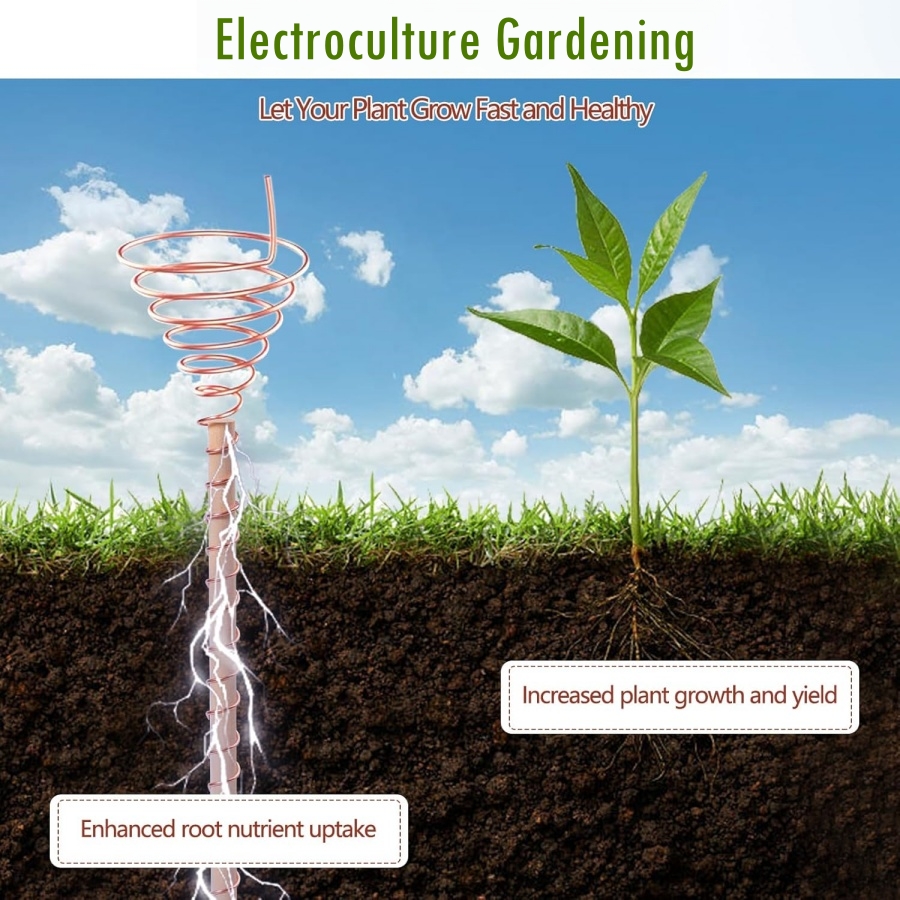 20m/65ft Electroculture Garden - Dowel Jig Kit recensione e prezzo