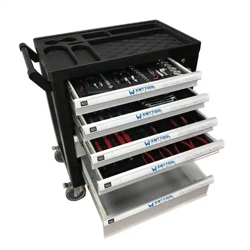 Professional Auto Repair 6 Dra - Workshop Tools Trolley recensione e prezzo